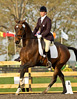 Equestrian Event