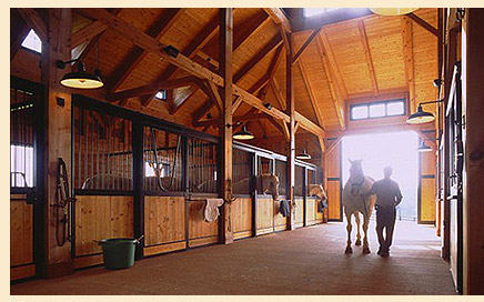 The Fork Stables